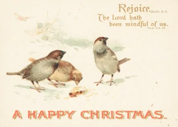 Spatzen im Schnee, Weihnachtskarte
