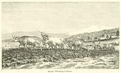 Frühling, Pflügen in Frankreich