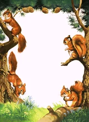 Eichhörnchen