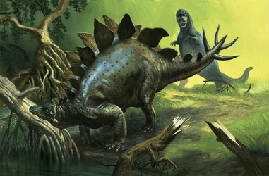 Stegosaurus