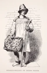 Straßenverkäufer von Vogelnestern, Illustration aus London Labour and London Poor von Henry Mayhew, veröffentlicht 1862