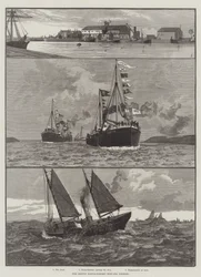 Die Boston (Lincolnshire) Tiefsee-Fischerei (Gravur)