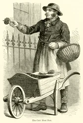 Der Katzenfleischmann