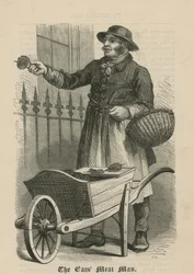 Der Katzenfleischmann