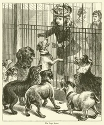 Das Hundeheim (Gravur)