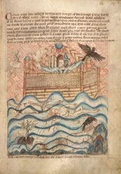 Die Taube und der Rabe, aus 