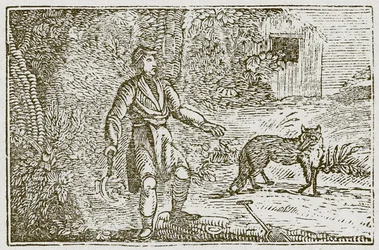 Der Fuchs und der Landmann