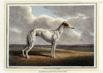 Der Windhund, veröffentlicht 1812