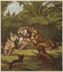 Der Empfang des Löwen (Farblithografie)