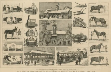 Die Londoner Internationale Landwirtschaftsausstellung in Kilburn, Juli 1879