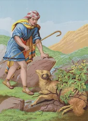 Das verlorene Schaf