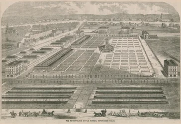Der Metropolitan Viehmarkt, Copenhagen Fields, London