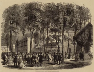Die Pariser Geflügelschau, in den Champs Elysees (Stich)