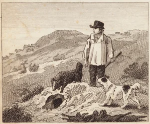 Der Kaninchenbau (Gravur)