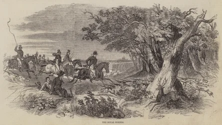 Die königlichen Jagdhunde (Gravur)