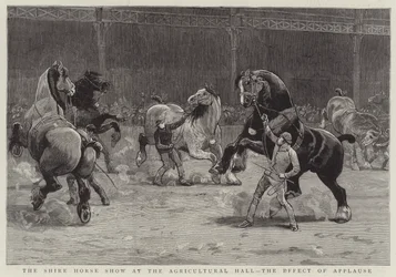 Die Shire Horse Show in der Agricultural Hall, die Wirkung des Applauses (Gravur)