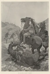 Die südafrikanische Frage, ein Scharmützel