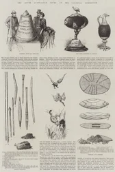 Der südaustralische Hof auf der Kolonialausstellung (Stich)