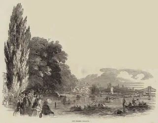 Die Thames-Regatta (Stich)