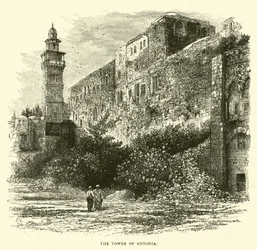 Der Turm von Antonia