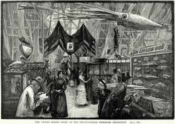 Der Gerichtshof der Vereinigten Staaten bei der Internationalen Fischereiausstellung (Gravur)