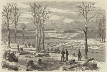 Der Krieg in Amerika