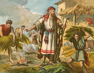 Der Weizen und das Unkraut