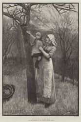 Die junge Knospe (Gravur)