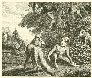 Der Affe und der Fuchs (Gravur)