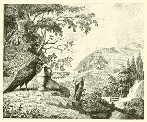 Die Krähe und der Krug