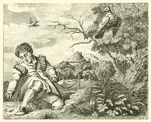 Die Taube und die Ameise (Gravur)