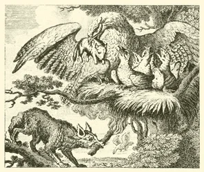 Der Adler und der Fuchs