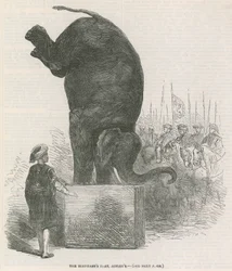 Die Elefantenleistung, Astleys, London
