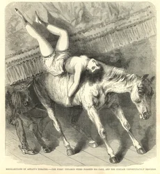 Das feurige ungezähmte Pferd vergisst seine Rolle, und der Vorhang fällt leider