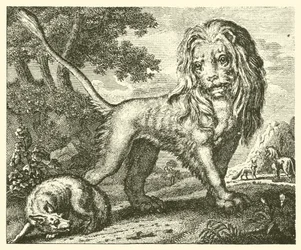 Der Fuchs und der Löwe