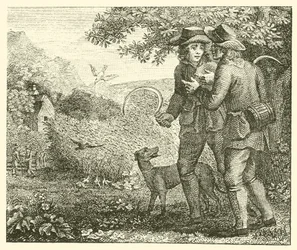 Die Lerche und ihre Jungen