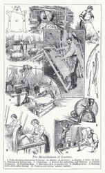 Die Lederherstellung