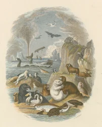 Die natürliche Welt (farbiger Stich)