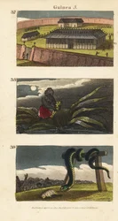 Der Palast des Königs von Dahomey in Abomey, ein afrikanischer Mann versteckt einen Fetisch und Menschen von Whydah verehren eine riesige Schlange