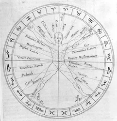Die Wissenschaft der Horoskopstellung, aus 