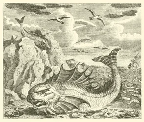 Der Thunfisch und der Delfin (Gravur)