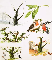 Das Jahr des Baumes