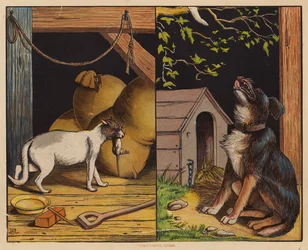 Das ist die Katze; Das ist der Hund