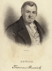 Thomas Bewick