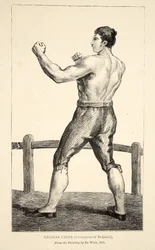 Thomas Cribb, Champion von England, nach dem Gemälde von De Wild