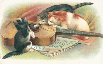 Drei Katzen spielen mit einer Akustikgitarre