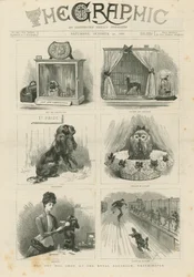 Spielzeughundeschau im Royal Aquarium