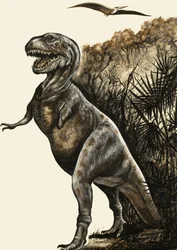 Tyrannosaurus Rex