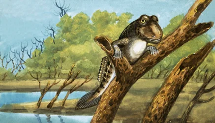 Unidentifiziertes Wesen