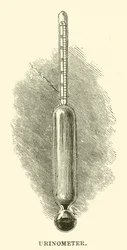 Urinometer (Gravur)